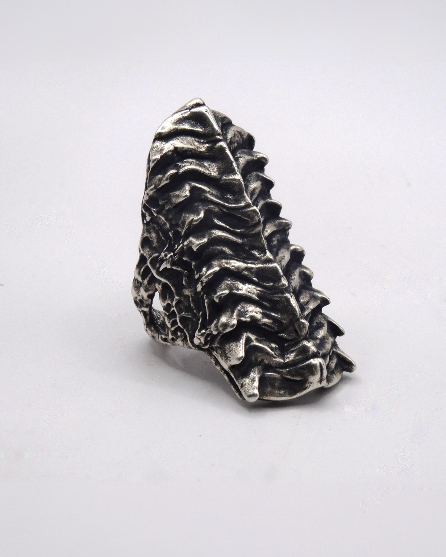 VERTEBER RING