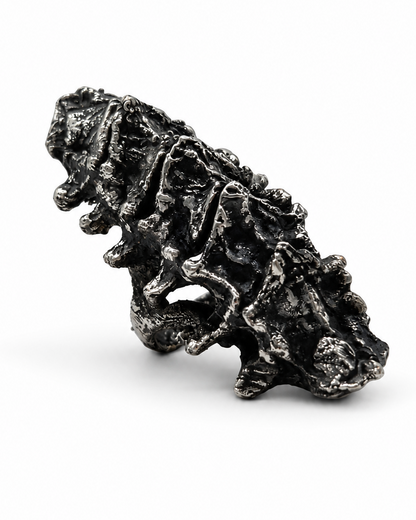 CREST RING
