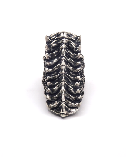 VERTEBER RING