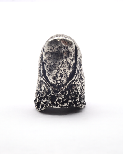PROTHESIS RING