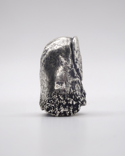 PROTHESIS RING - TOP RING