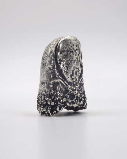 PROTHESIS RING - TOP RING