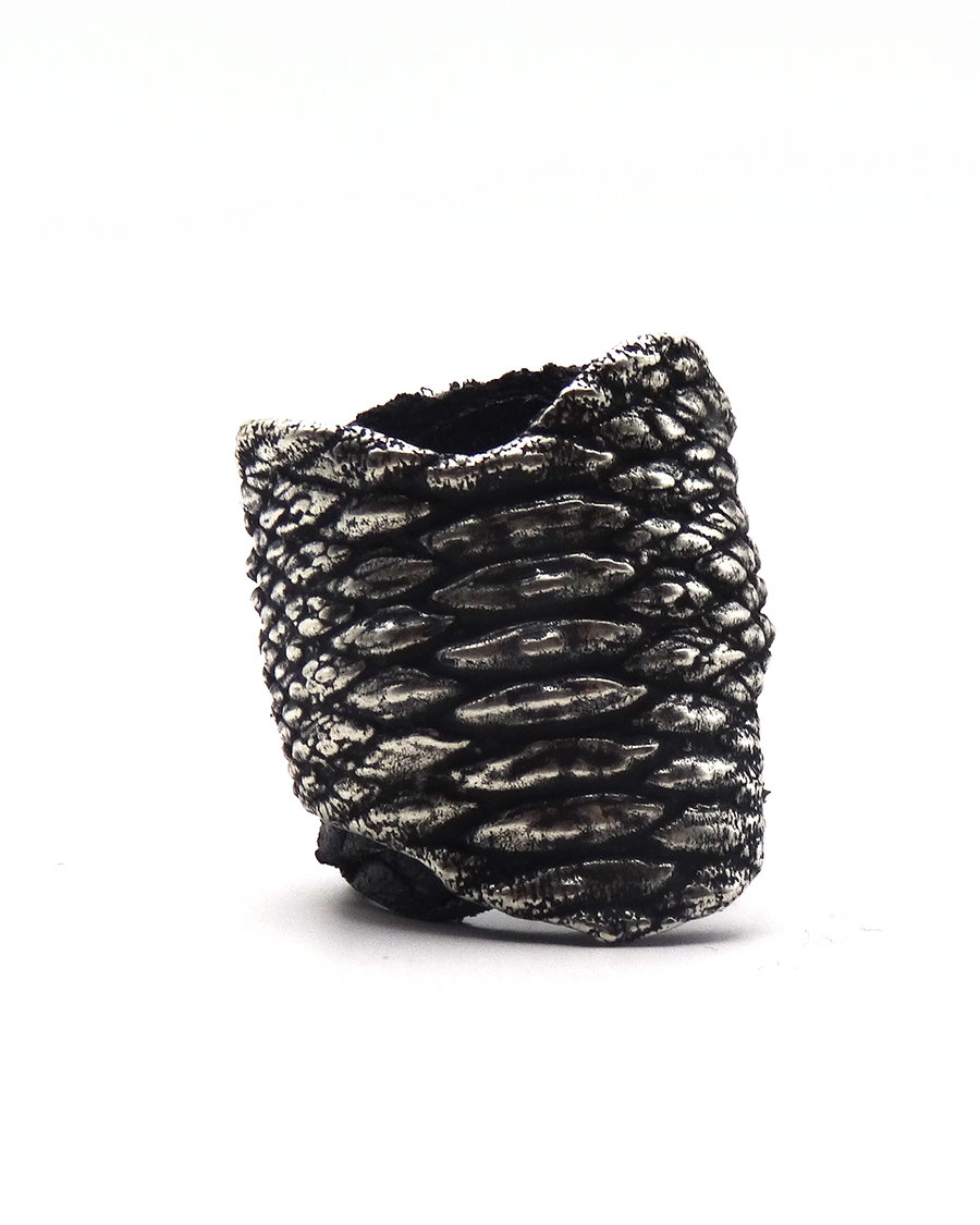 SCALE RING